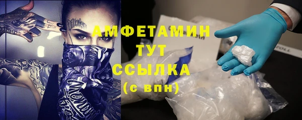 индика Алексин