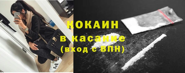 мяу мяу мука Абаза
