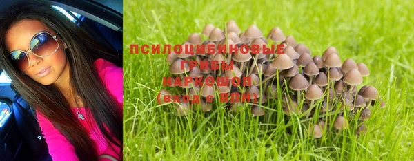 кокс Алексеевка