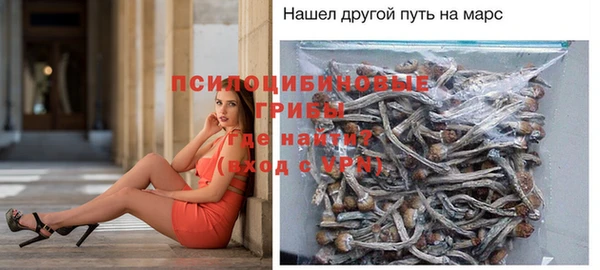 гидропоника Алзамай