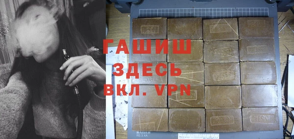 индика Алексин