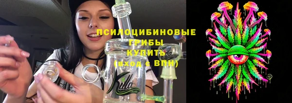 гидропоника Алзамай