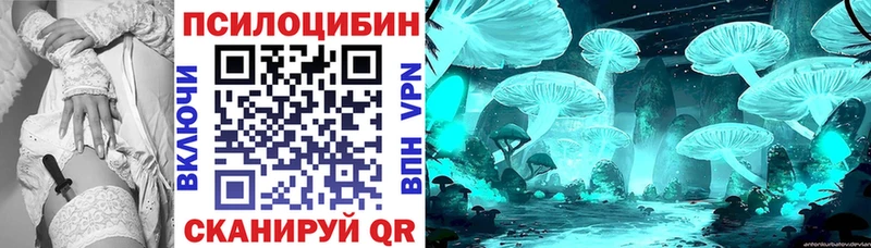 Галлюциногенные грибы прущие грибы  Советская Гавань 